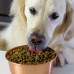 Open Farm Dry Dog Food - Grass-Fed Beef Recipe