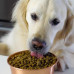 Open Farm Dry Dog Food - Homestead Turkey & Chicken Recipe